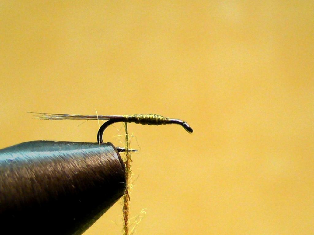Montage de mouche