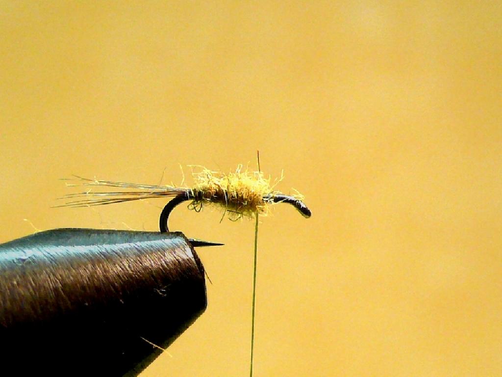 Montage de mouche