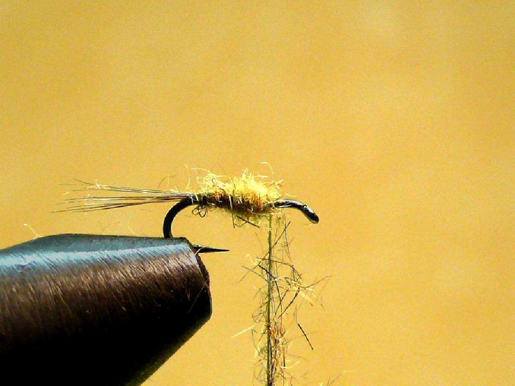 Montage de mouche