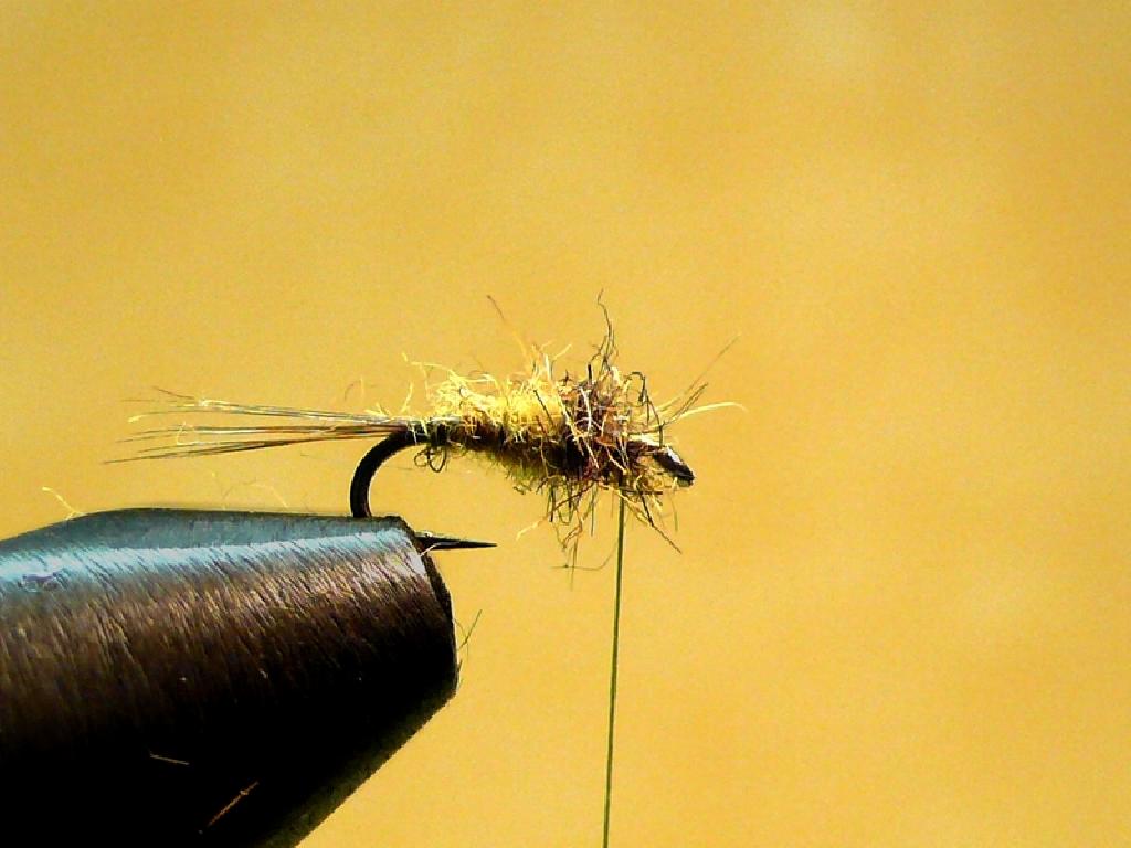 Montage de mouche