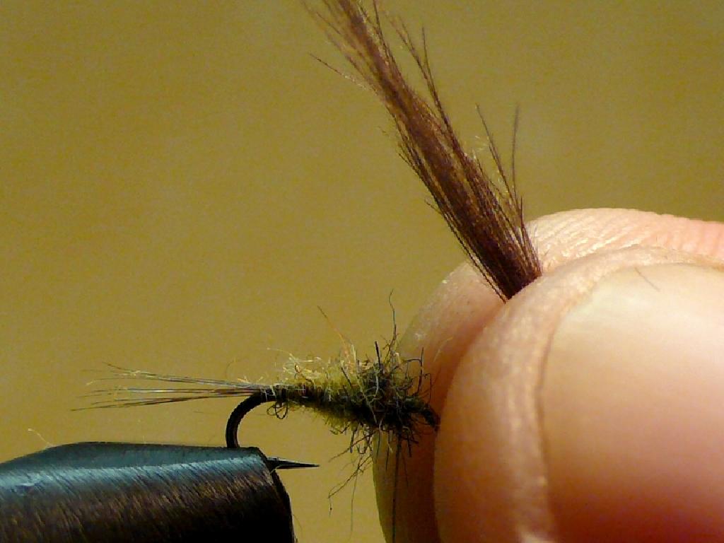 Montage de mouche