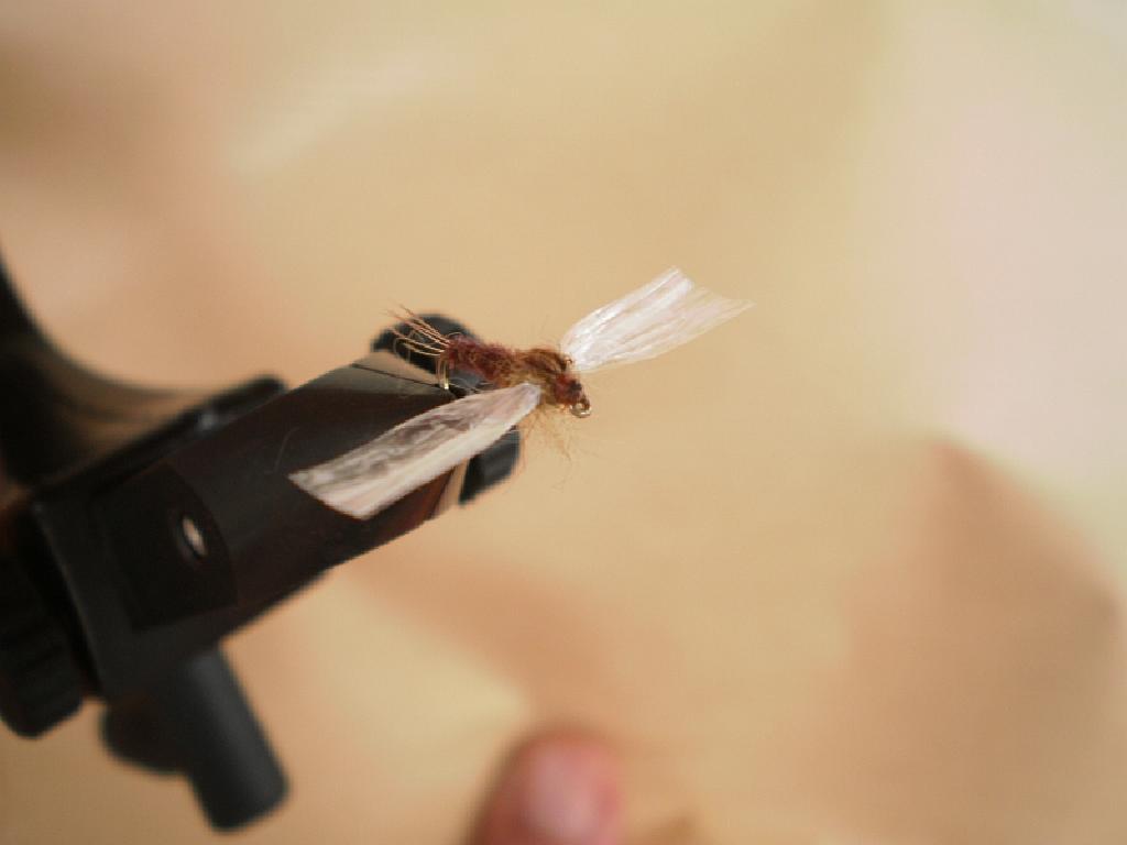 Montage de mouche