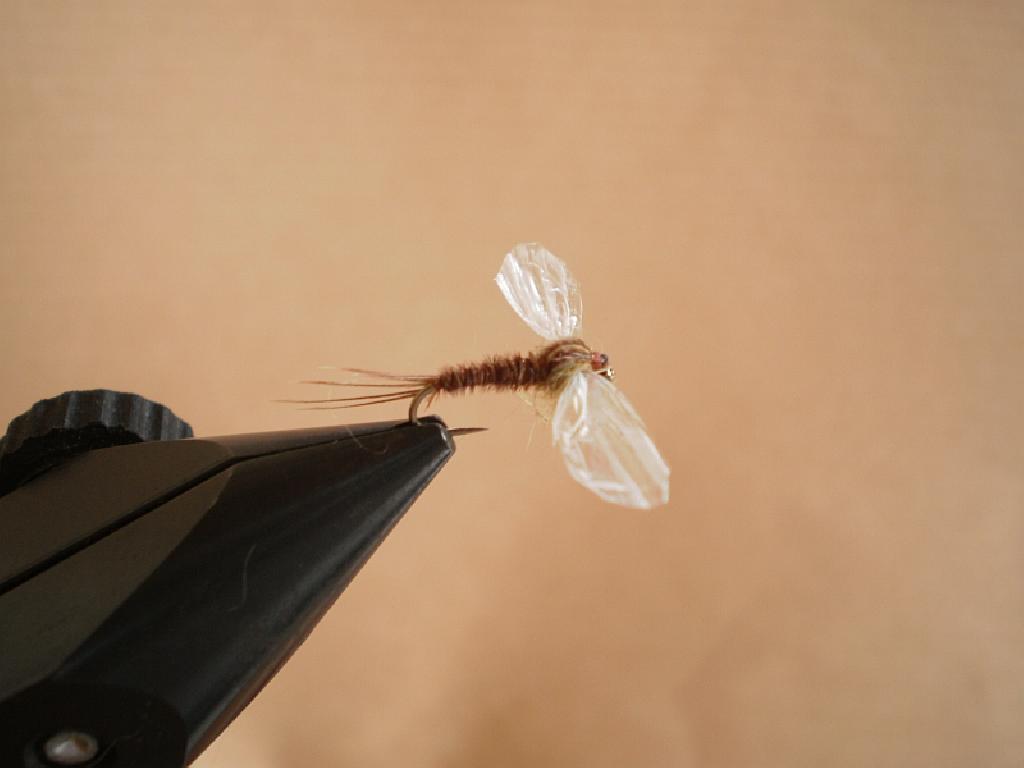 Montage de mouche