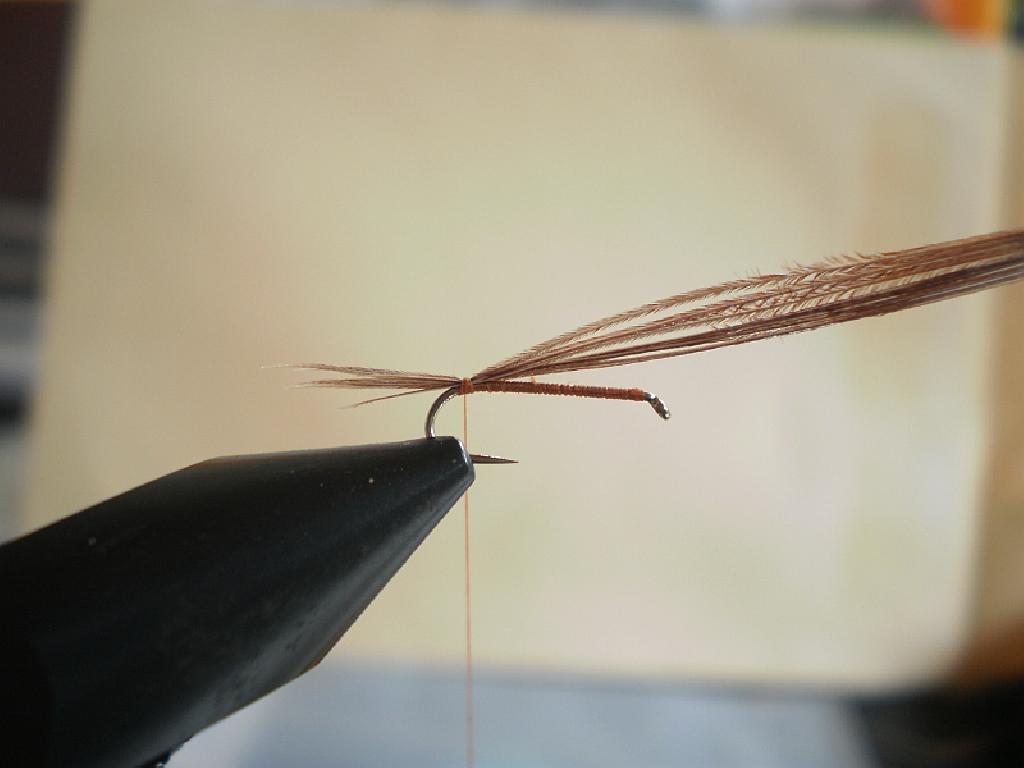 Montage de mouche