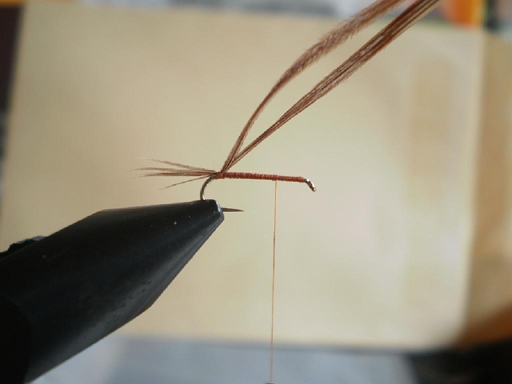 Montage de mouche