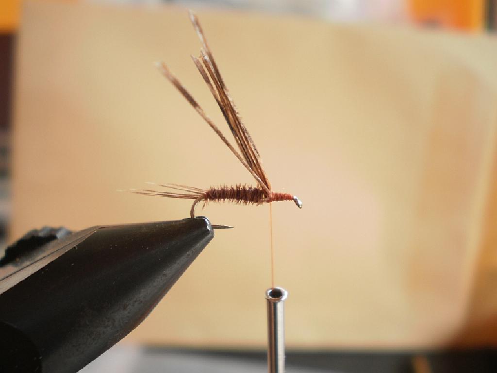 Montage de mouche