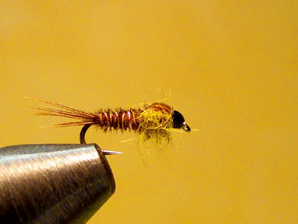 Fiche de montage : Pheasant olive