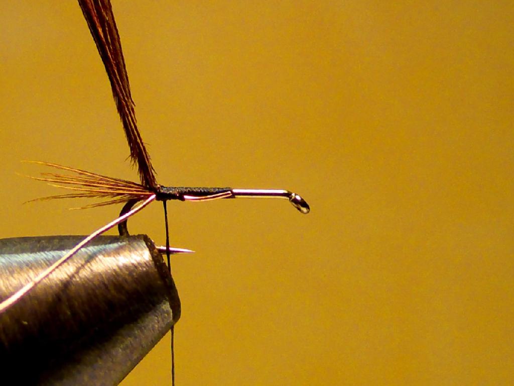 Montage de mouche