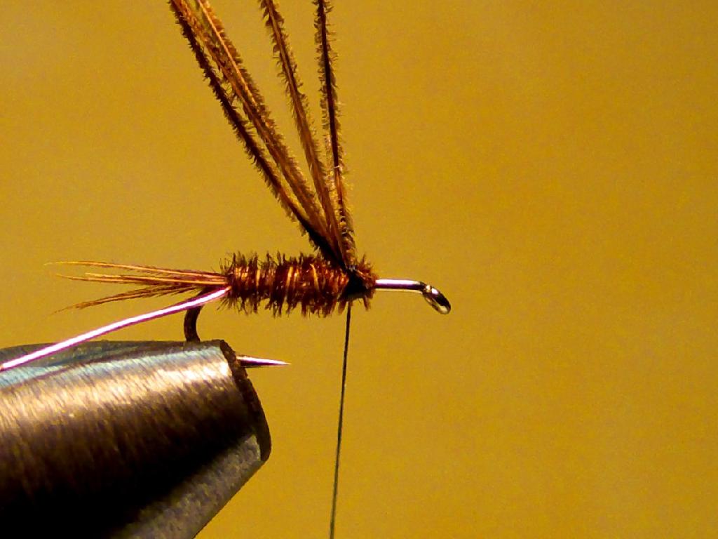 Montage de mouche