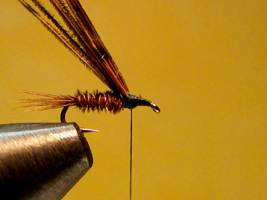 Montage de mouche