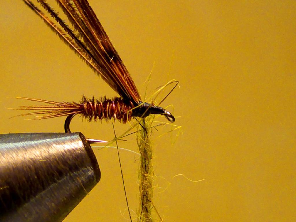 Montage de mouche
