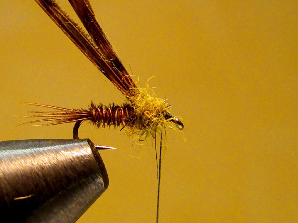 Montage de mouche