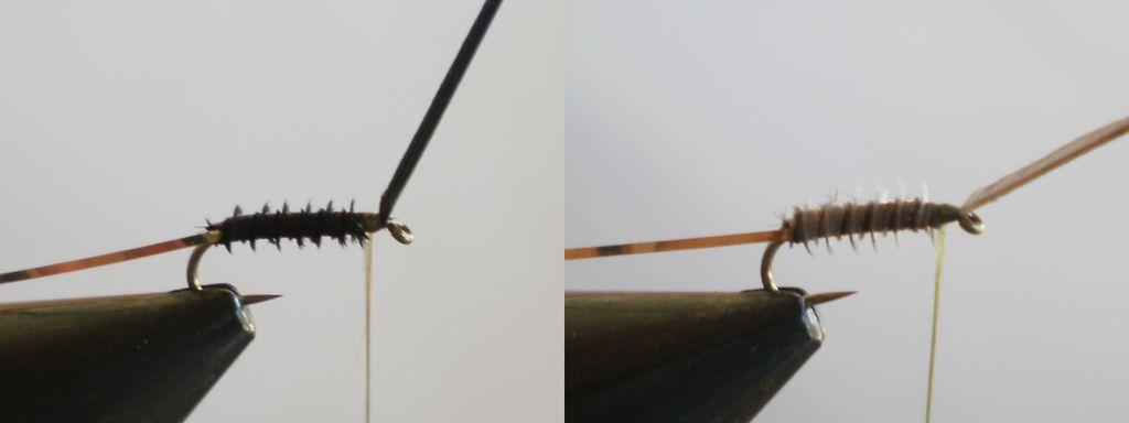 Montage de mouche