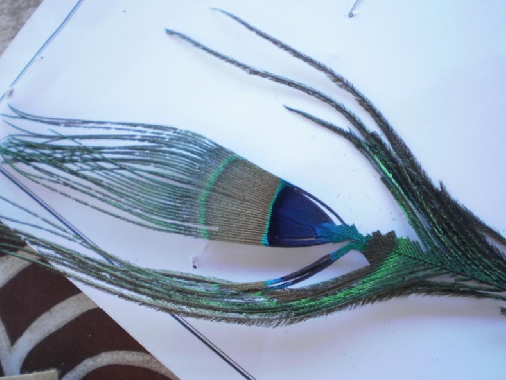 Montage de mouche
