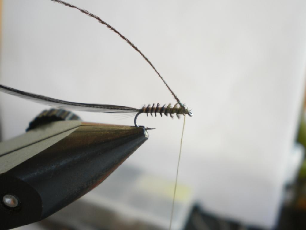 Montage de mouche
