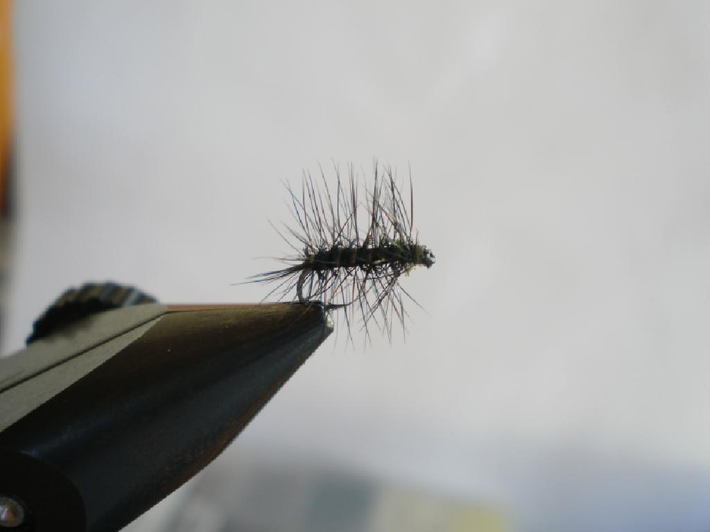 Montage de mouche