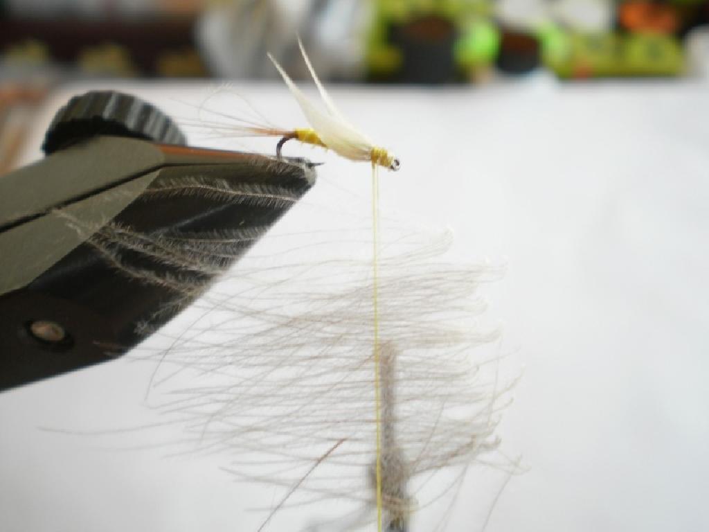 Montage de mouche