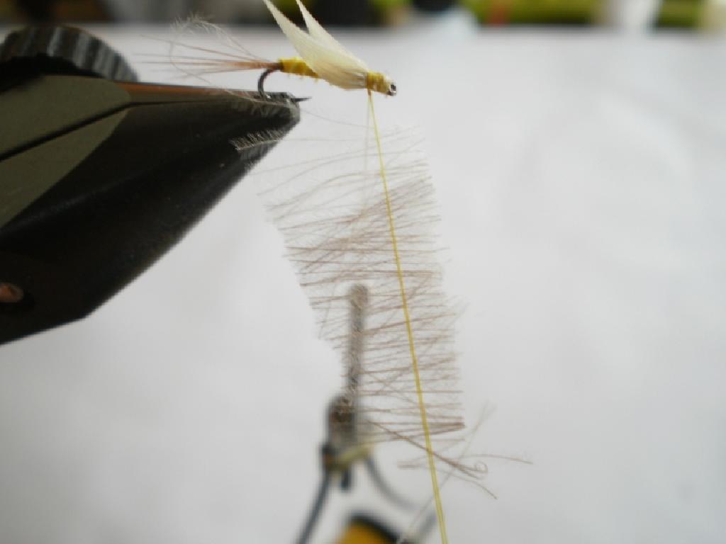 Montage de mouche