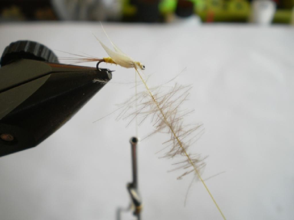 Montage de mouche