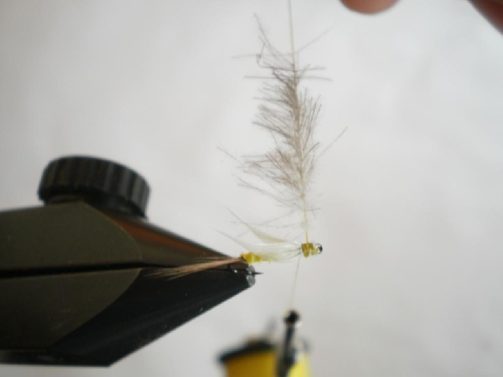 Montage de mouche