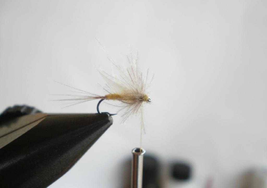 Montage de mouche