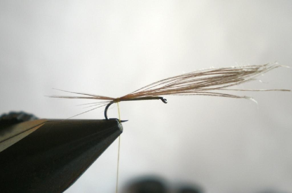 Montage de mouche