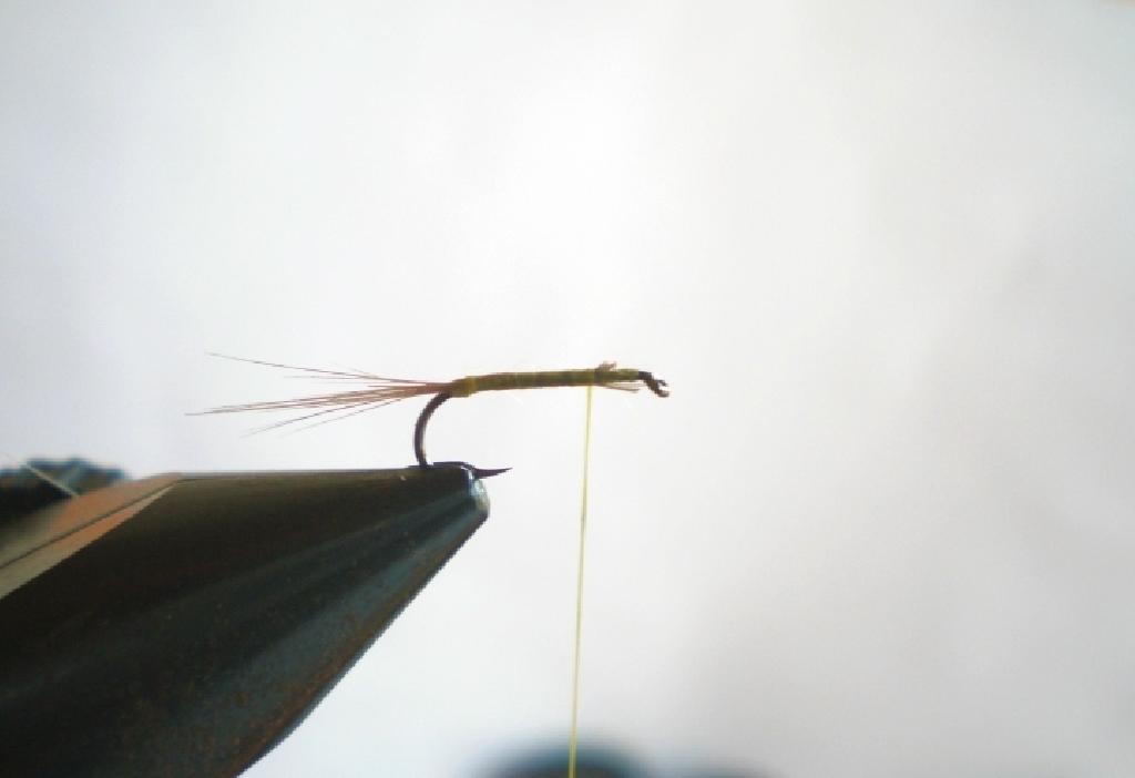 Montage de mouche
