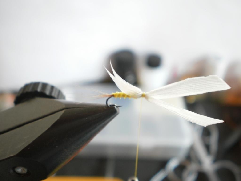 Montage de mouche