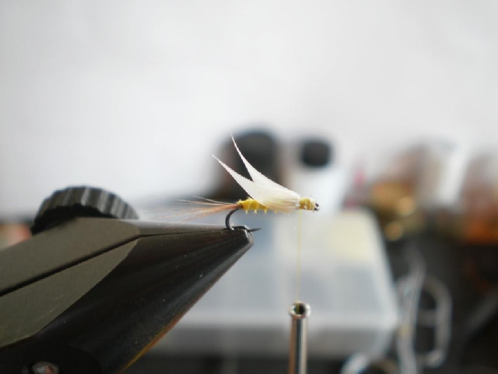 Montage de mouche