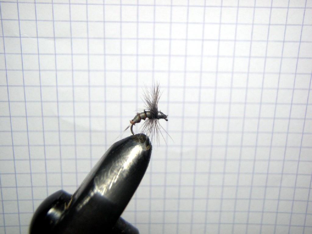 Fiche de montage : Araignée noire à corps gris