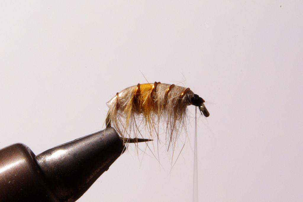 Montage de mouche