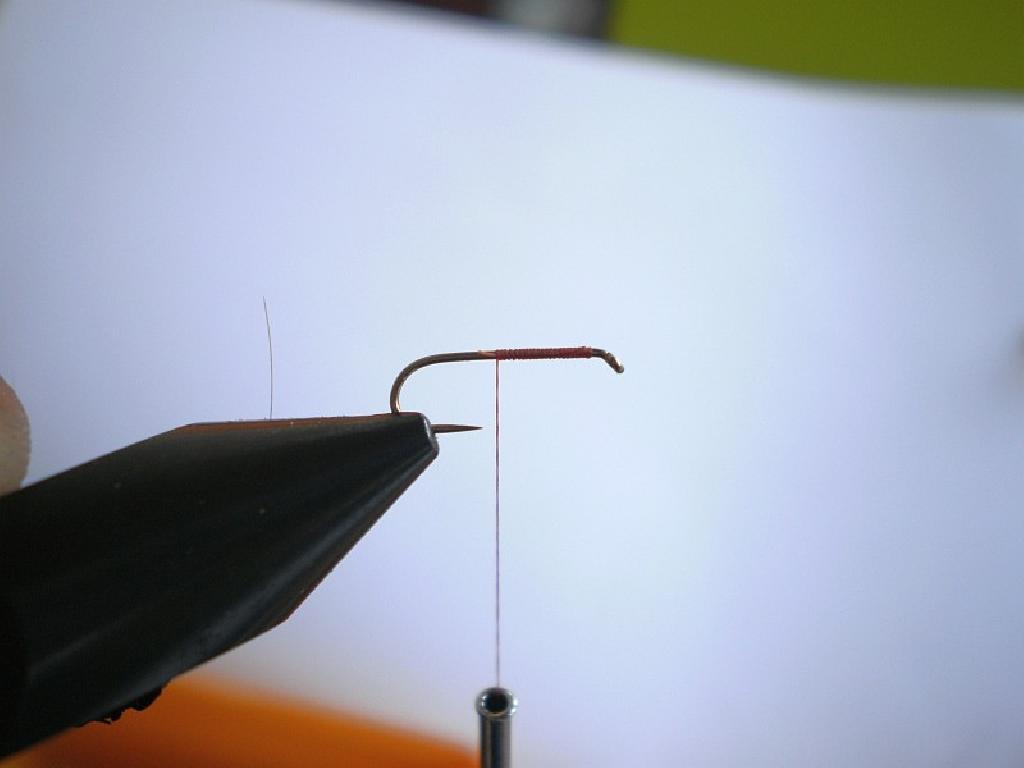 Montage de mouche