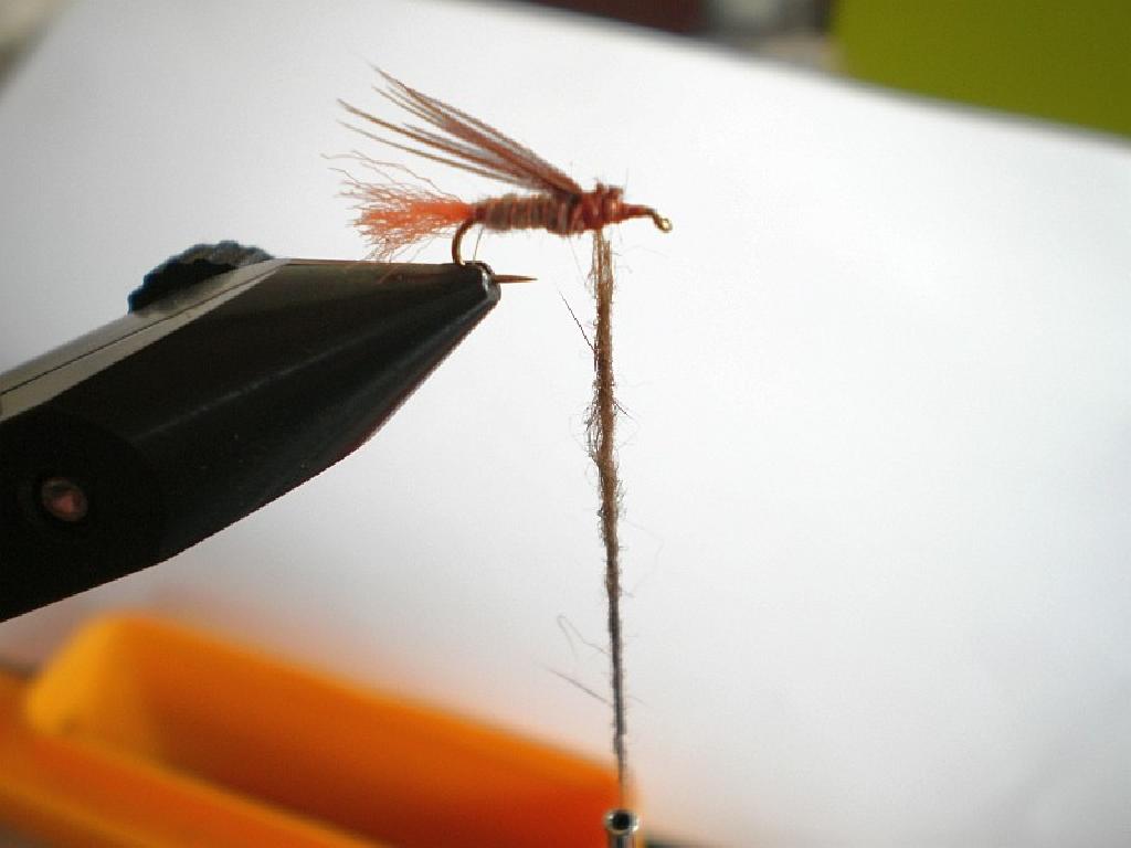 Montage de mouche