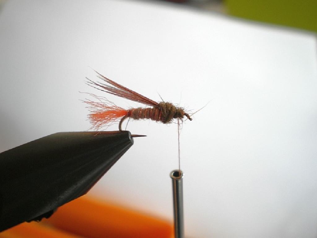 Montage de mouche