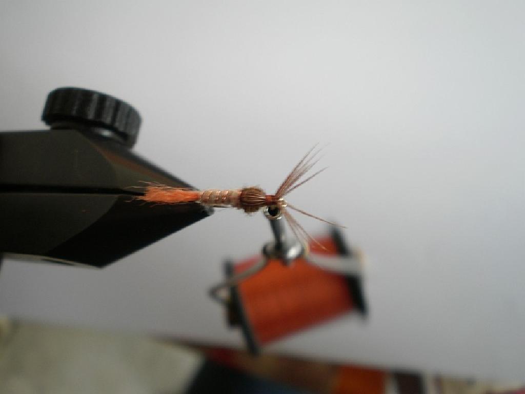 Montage de mouche