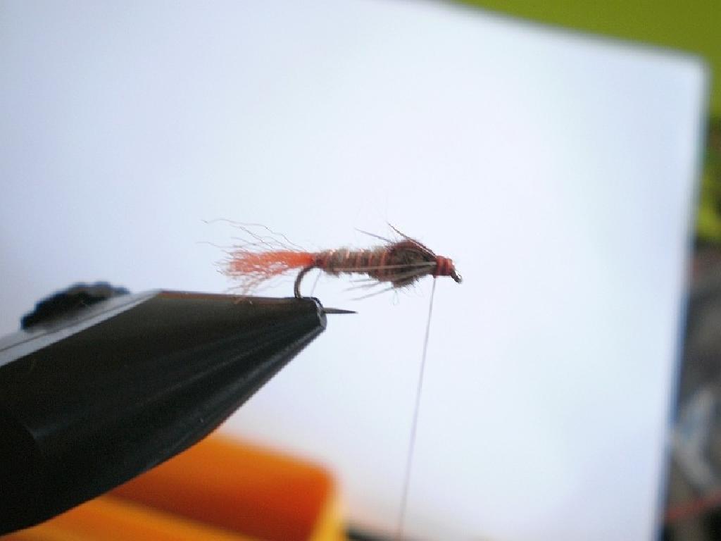 Montage de mouche