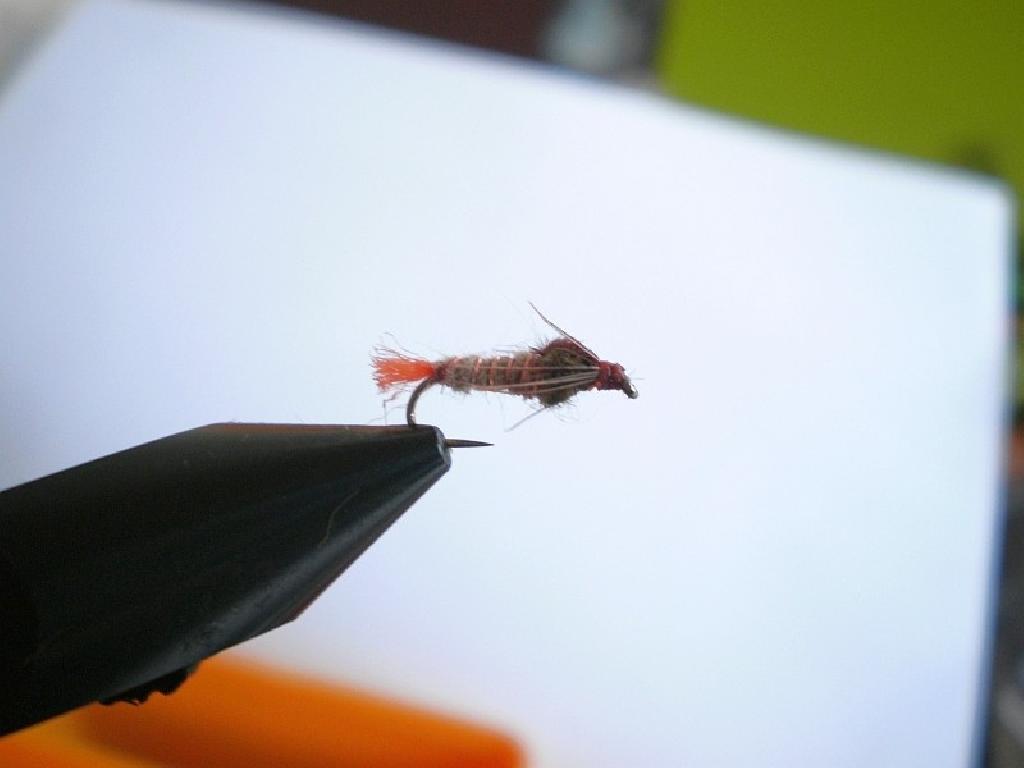 Montage de mouche