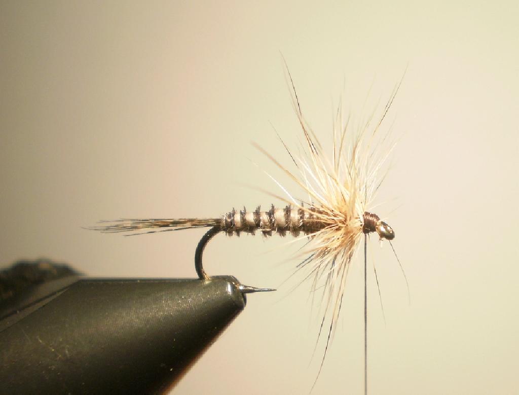 Montage de mouche
