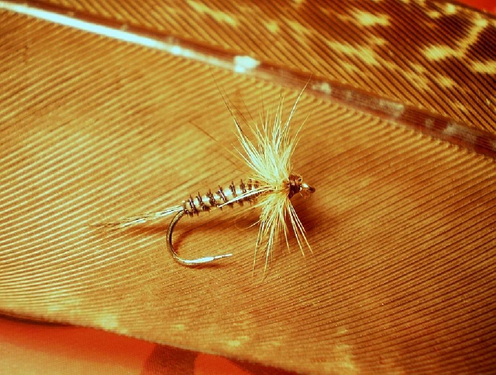 Montage de mouche