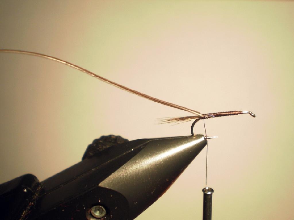Montage de mouche