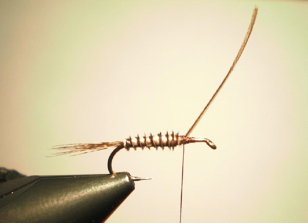 Montage de mouche