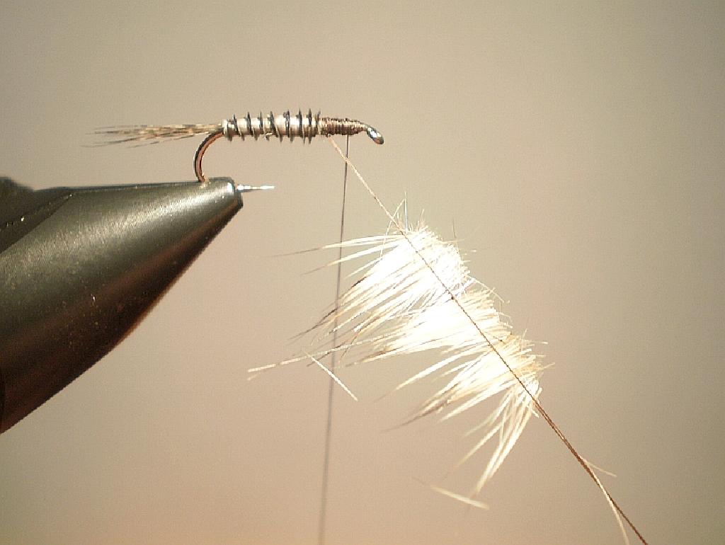 Montage de mouche