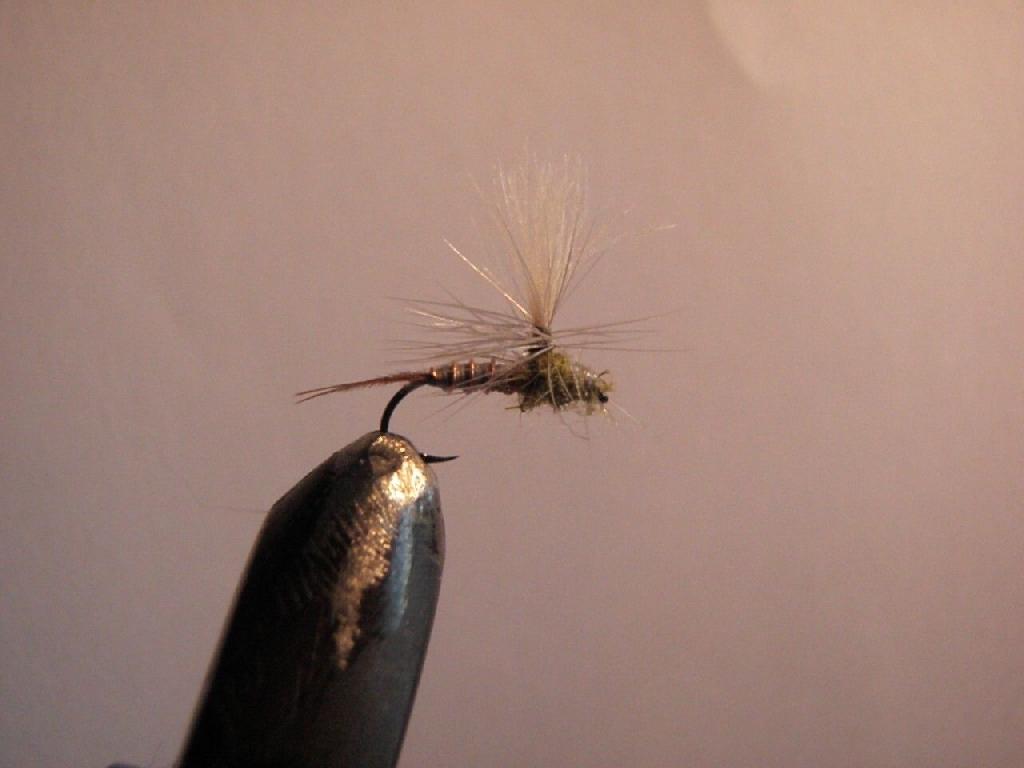 Fiche de montage : Baetis Rhodani