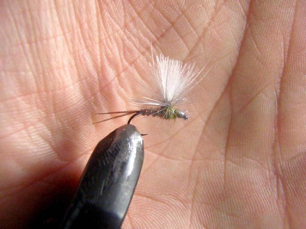 Montage de mouche