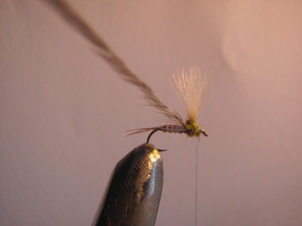 Montage de mouche