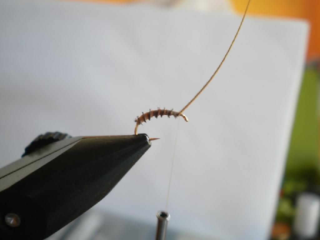 Montage de mouche