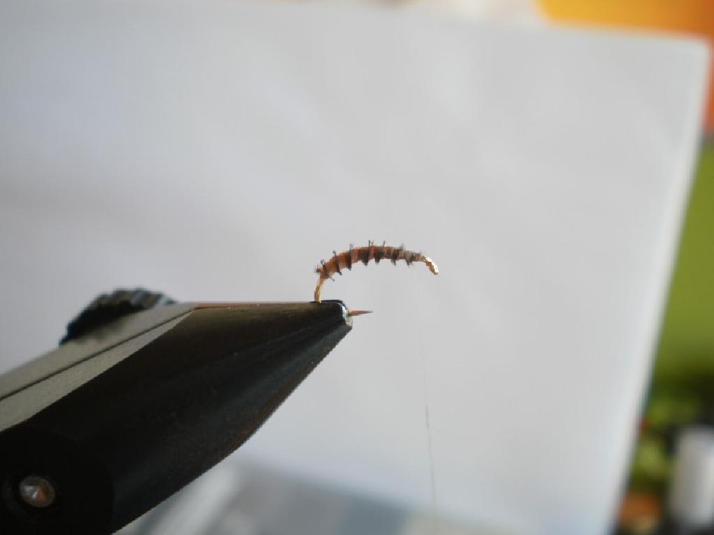 Montage de mouche
