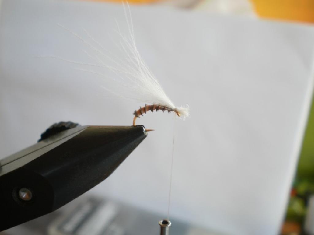 Montage de mouche