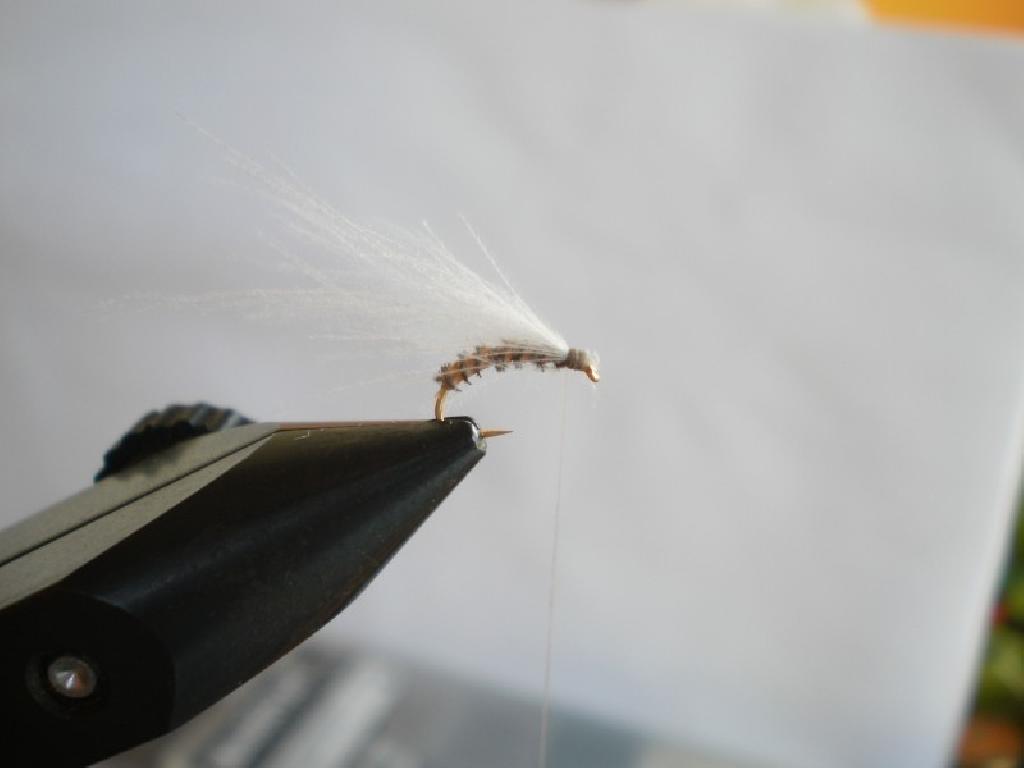 Montage de mouche