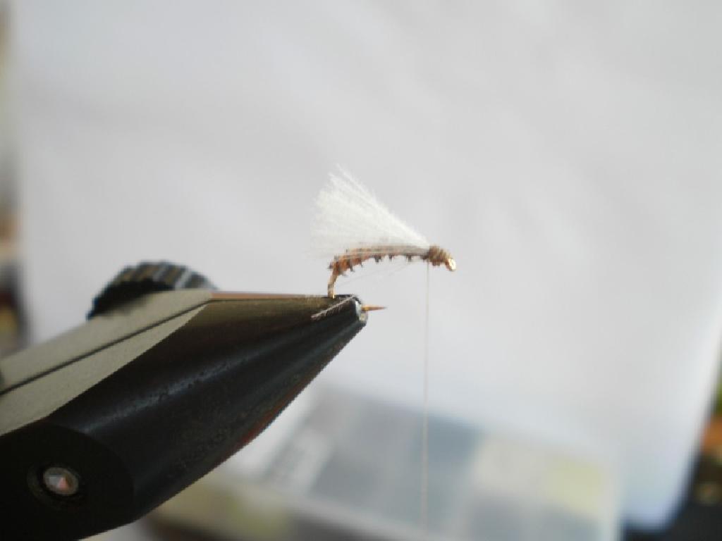 Montage de mouche
